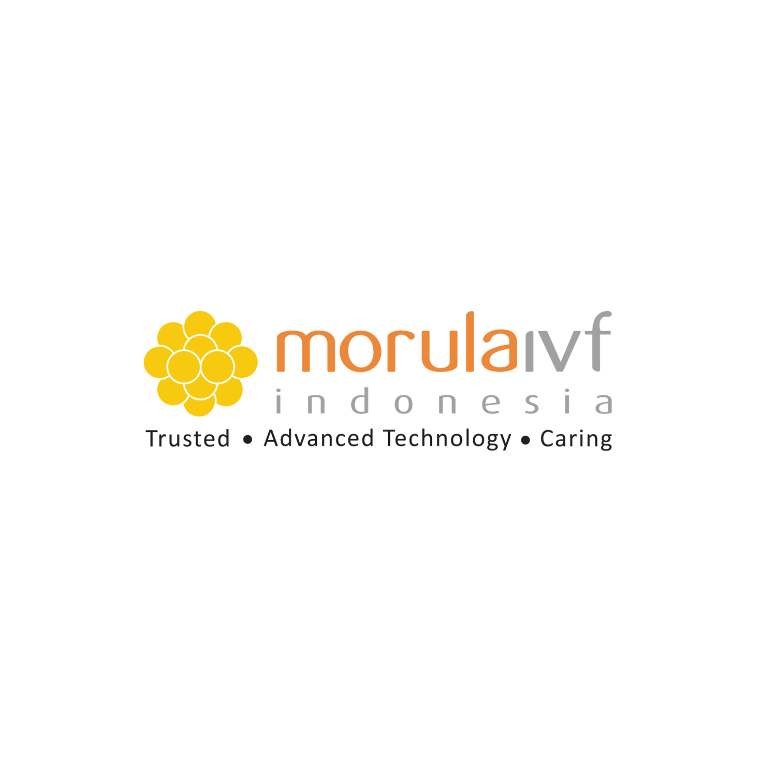 Morula IVF Yogyakarta